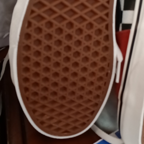 #39❤️ New with tags Vans SK8 Desert snake/chili oil sneakers - Picture 12 of 12